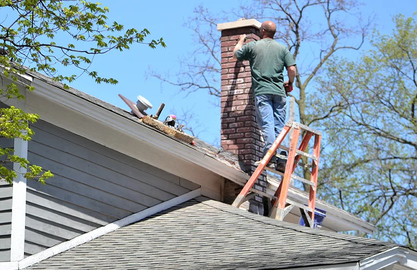 Chimney & Fireplace Inspections Services in Eagle, ID
